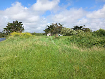 terrain à L'Ile-d'Olonne (85)