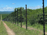 Communities in northern KwaZulu-Natal have been urged not to cut and steal game reserve fences after a group of elephants escaped from iThala Game Reserve, prompting concerns about their whereabouts.