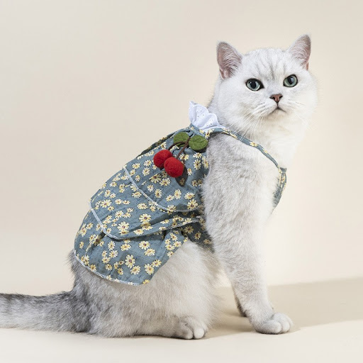 Title 8, Spring and Summer Dog Clothes Cat Clothing Pet ...
