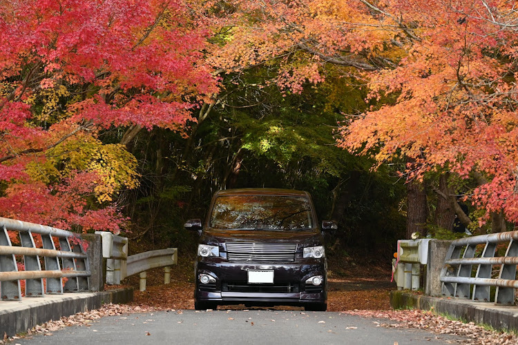 ヴォクシーのworkwheels・WORK VARIANZA T1S・カメ活📷️・紅葉と愛車・ドライブに関するカスタム事例の投稿画像2枚目
