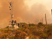 Approximately 1,140 hectares of land has been razed.