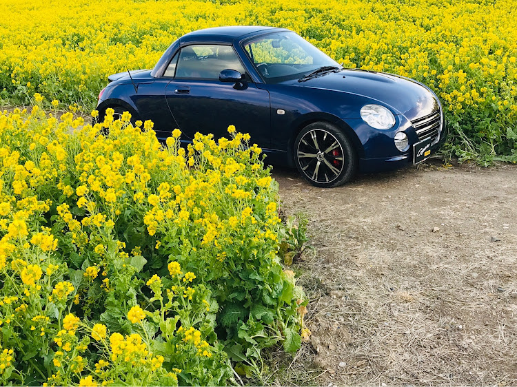 コペンの菜の花畑とコラボ・体調管理にはお気をつけて下さいに関するカスタム事例の投稿画像1枚目