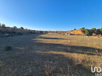 terrain à Rivesaltes (66)