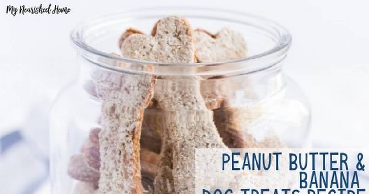 10 Best Healthy Low Calorie Treats for Dogs Recipes