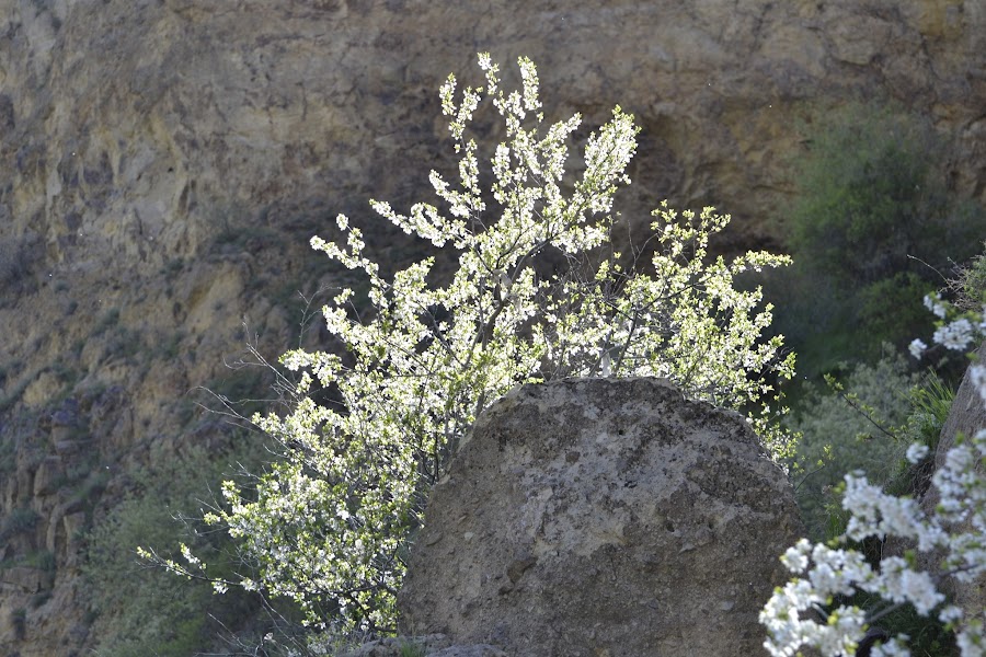 Армения: сокровища нации