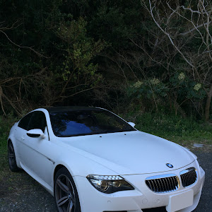 M6 E63