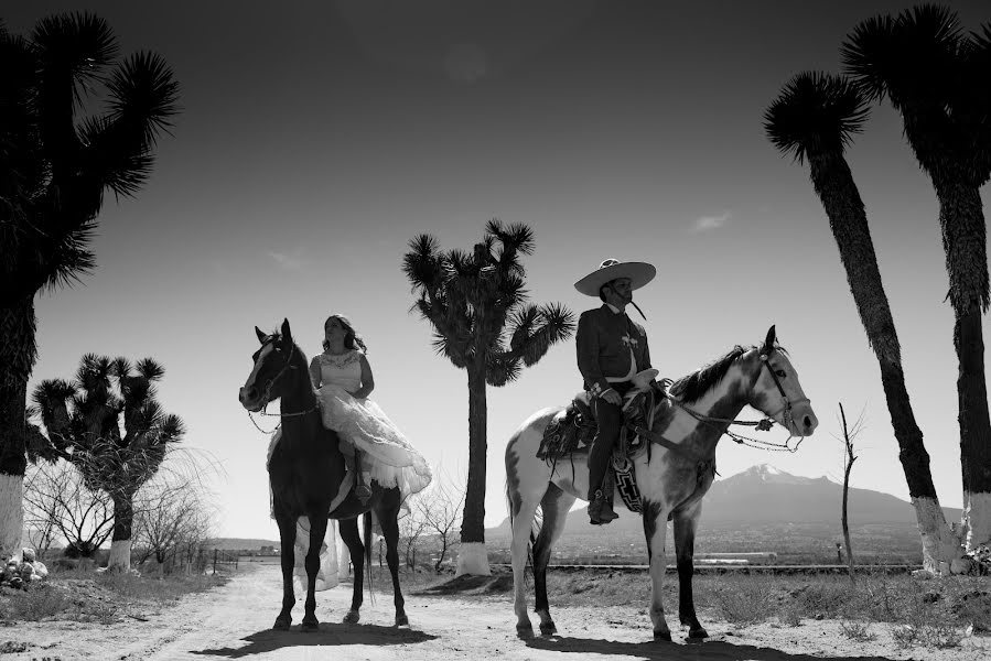 Fotógrafo de bodas Guillermo Navarrete (navarretephoto). Foto del 8 de febrero 2015