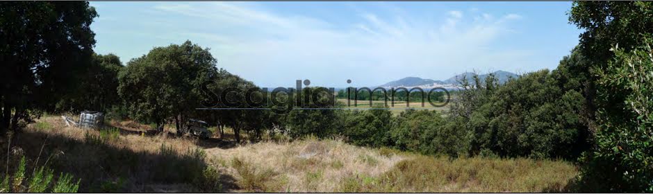 Vente terrain  1330 m² à Porticcio (20166), 845 000 €