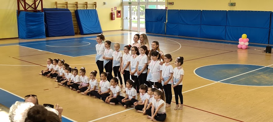 Scuola di ginnastica di Giuseppe Nicosia © Paullum