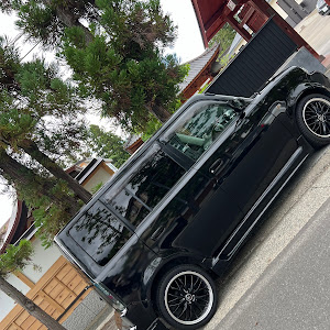 bB NCP31