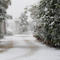 La Neve c'è di 