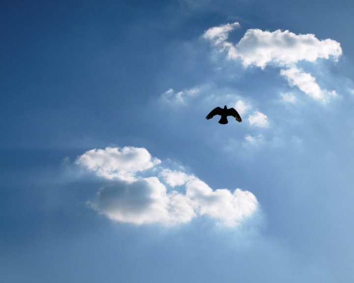 Fly under clouds di utente cancellato