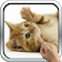 Playful ginger kitten icon