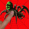 Spiders Smasher Bugs Smasher icon