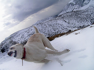 HAPPY WINTER di InsolitiScatti-di-CarloSoro