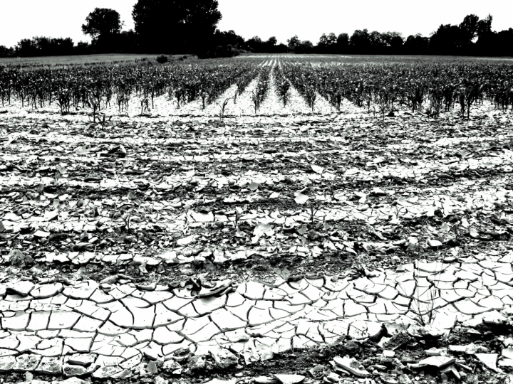 PIANURA PADANA di roberta_i54