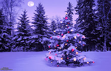 Christmas Tree Wallpapers HD Theme small promo image