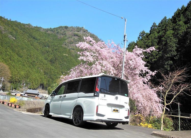 ステップワゴンスパーダの最後の古戦場・ステップワゴン・桜とコラボ・桜と愛車・御首載石跡の碑に関するカスタム事例の投稿画像15枚目