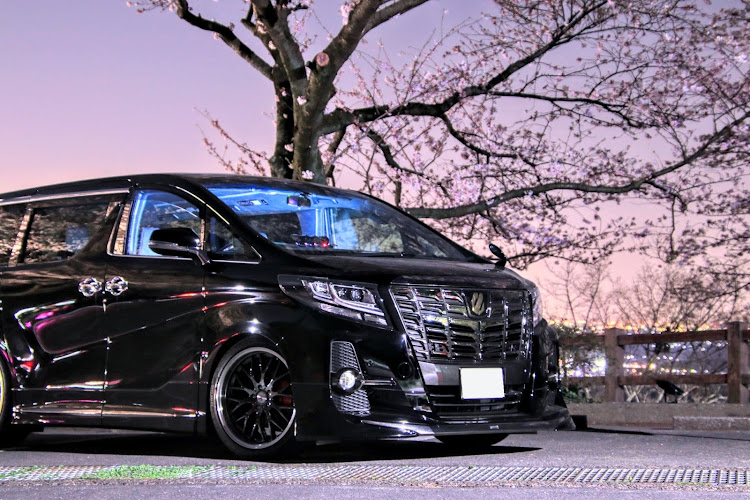アルファードの一眼レフ初心者・真夜中の1人撮影会・桜と夜景に関するカスタム事例の投稿画像1枚目