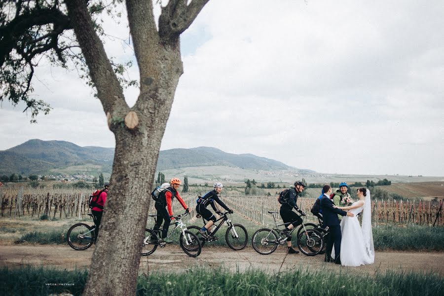 Vestuvių fotografas Varvara Shevchuk (vvvarka). Nuotrauka 2017 gegužės 25