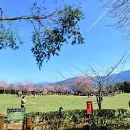 山上人家森林農場