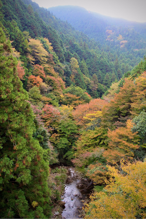 の投稿画像8枚目