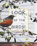 Look At The Birds! cover