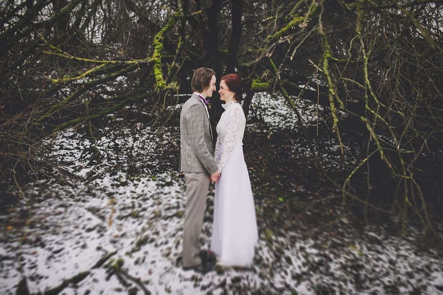 Fotógrafo de casamento Darya Andrievskaya (daryaa). Foto de 22 de dezembro 2014