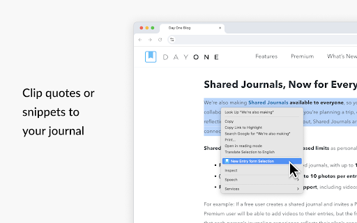 Day One screenshot 2