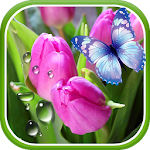 Cover Image of Unduh Tulip Gambar Animasi 1.0.6 APK