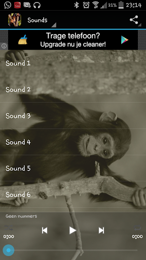 免費下載音樂APP|Monkey Sounds app開箱文|APP開箱王