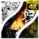 Tiger Fonds d'écran 4K icon