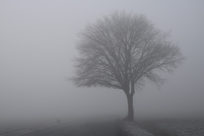 Nebbia di Mar-co