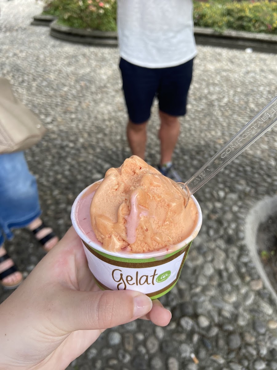 Gluten-Free at Gelateria Excelsior