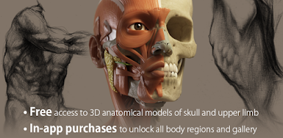 Human Anatomy APK Download for Android Free