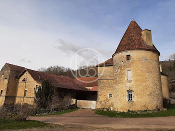 château à Flavigny-sur-Ozerain (21)