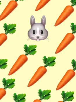 はらぺこぐぅちゃん🥕