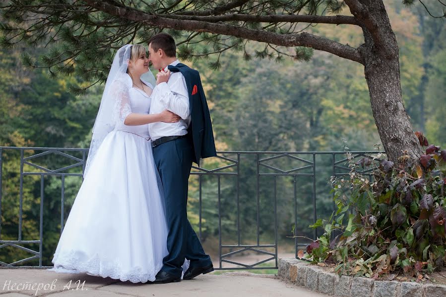 Fotógrafo de casamento Aleksandr Nesterov (nesterov2012). Foto de 24 de outubro 2015