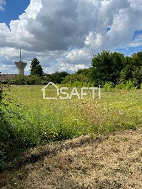 Vente terrain  9366 m² à Briare (45250), 419 500 €