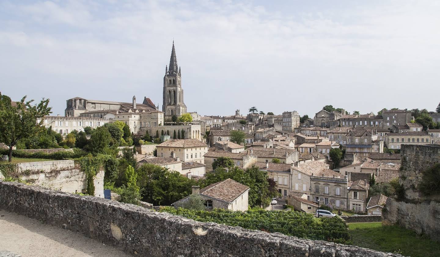 Vineyard with outbuildings Saint-Emilion