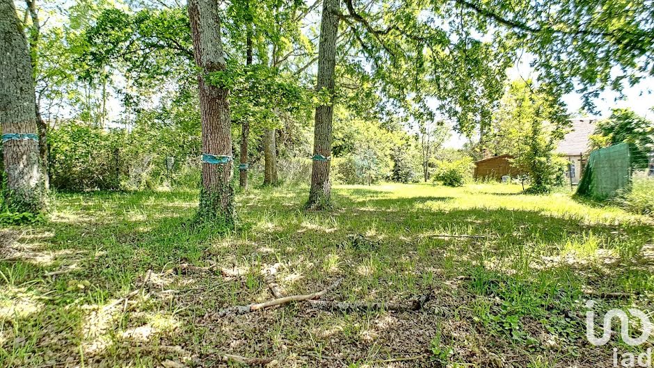 Vente terrain  1130 m² à Montigny-Lencoup (77520), 79 000 €