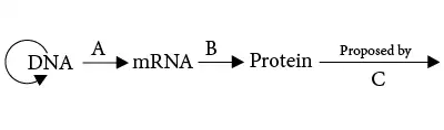 Central Dogma: Flow of Information