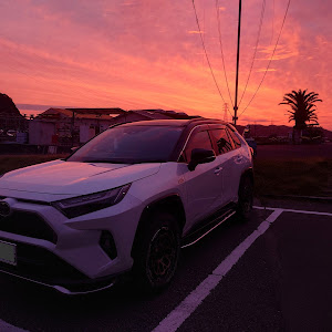 RAV4 AXAP54