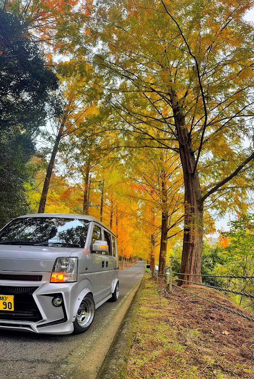 エブリイバンの紅葉・エブリィ・tc01・オーバーフェンダーに関するカスタム事例の投稿画像1枚目