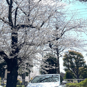 オデッセイ RC1