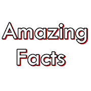 Amazing Facts  Icon