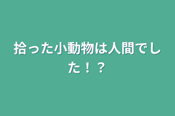 拾った小動物は人間でした！？