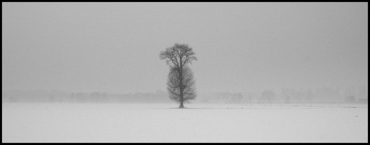 Fredda... solitudine di Orione