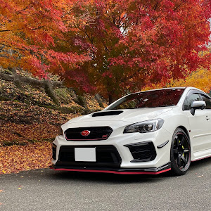 WRX STI VAB