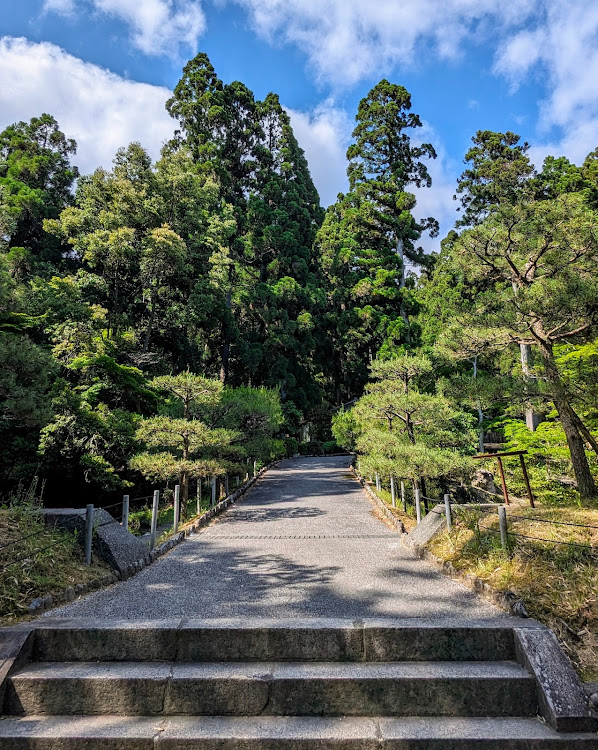 の投稿画像4枚目